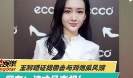 王霖传媒爆料视频是真的吗,王霖传媒爆料视频真实性揭秘